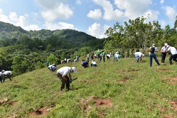 Voluntariado Bancentraliano realizó su XIV jornada de reforestación en el río Ozama.