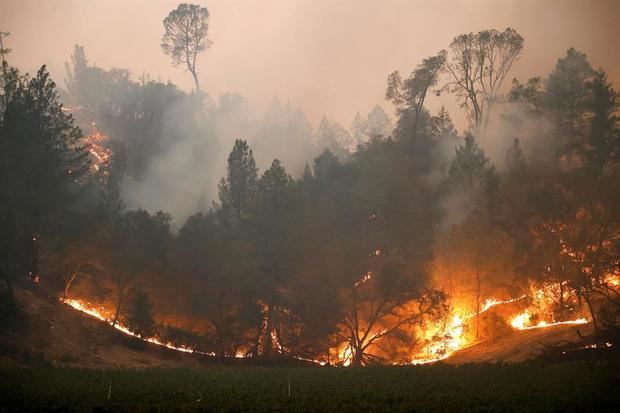 Desde principios de año, ha habido más de 8.200 incendios forestales que han quemado más de 4 millones de acres en California, donde las llamas destruyeron además cerca de 8.400 estructuras, indicó Calfire en un comunicado.