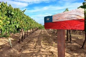 Chile conecta proveedores para el sector silvoagropecuario con RD y el Caribe