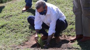 Presidente Luis Abinader y AmbienteRD unen esfuerzos para aumentar cobertura boscosa del país