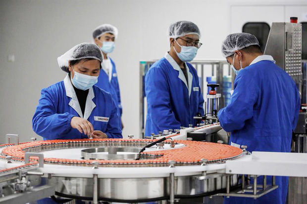 Varios empleados trabajan en las instalaciones de envasado de Sinovac Biotech en Pekín, China. Sinovac es un fabricante de vacunas chino que está desarrollando la vacuna Covid -19 llamada CoronaVac. 