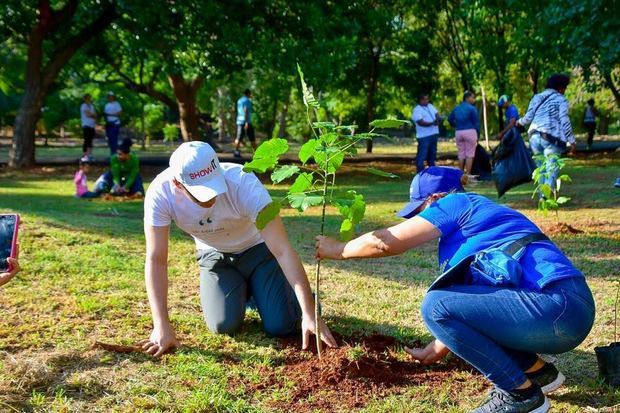 ADN realiza jornada de arborización en el Distrito Nacional.