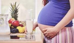 Una dieta materna alta en grasas no afecta igual al cerebro de hijos e hijas