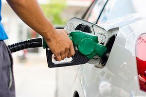 Gasolina, gasoil y gas mantendrán sus precios la próxima semana