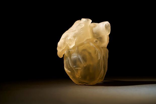 Fotografía cedida este lunes por la empresa Stratasys, muestra un prototipo de corazón elaborado en 3D. La empresa Stratasys diseñó un nuevo modelo de impresora que reproduce en tres dimensiones partes del cuerpo humano como tejidos para mejorar las operaciones quirúrgicas, informó la compañía en un comunicado.