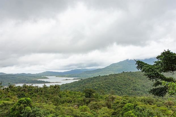 Fotografía cedida por Smithsonian de Panamá de los bosques nubosos de la Reserva Hidrológica de Fortuna que albergan casi tantas especies de árboles como todo Estados Unidos.