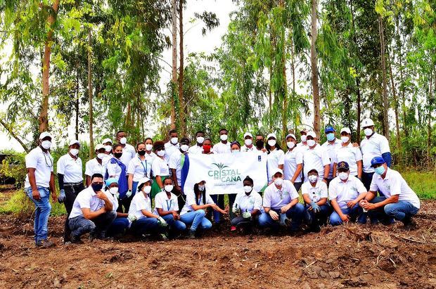 Con el auspicio de Cristal de Caña empleados de CAEI plantan mil árboles.