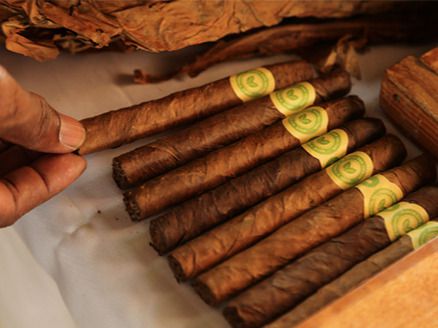Producción del tabaco es apoyada por el presidente Danilo Medina.