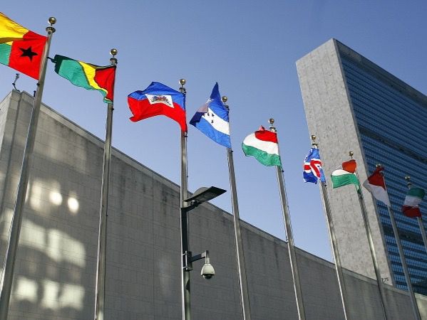 Organización de las Naciones Unidas (ONU).