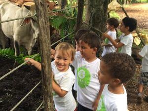 Niños interactuando con animales dentro del Campamento Matua.