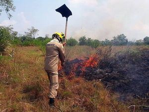 Brasil realiza operación de combate a incendios en parque natural amazónico
 
