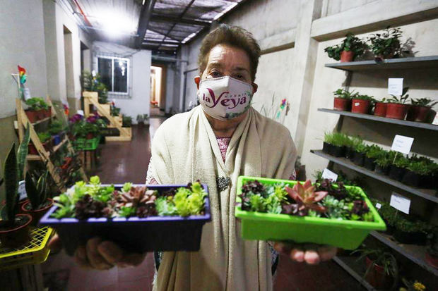La señora María Saavedra, de 90 años, muestra sus plantas que venderá a través de la plataforma digital Instagram ayer martes, en Santiago, Chile.