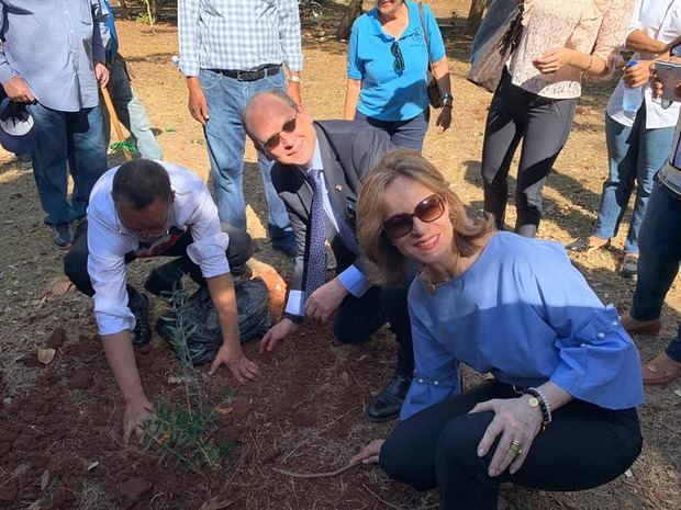 Embajada de Israel siembran árboles de Olivo.