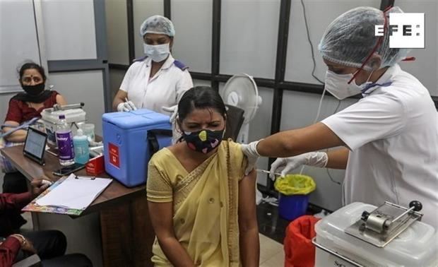 Récord diario de vacunación en la India: 3,6 millones de dosis en una jornada.