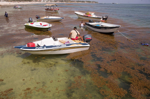 Fotografía de una playa cubierta de sargazo, el 1 de septiembre de 2021, en Punta Cana, República Dominicana.