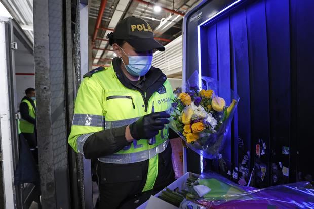Una policía revisa las cajas que contienen flores para San Valentín ayer, en la empresa El Redil, ubicada en Nemocón, Colombia.