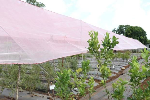 Centro de Lavado y Acopio de productos agropecuarios en Higüey.j