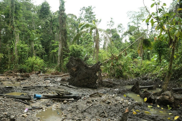 Fiscalías y Ministerios Públicos de Latinoamérica dijeron este jueves que buscan una mayor integración para prevenir delitos ambientales como daños forestales, cacería, minería, drenaje de humedales, entre otros.