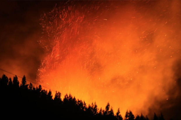 La organización ecologista Greenpeace inició este viernes la recolección de firmas para exigir al Consejo de Estado de Rusia controlar de modo urgente los incendios forestales que azotan Siberia y el lejano oriente ruso.