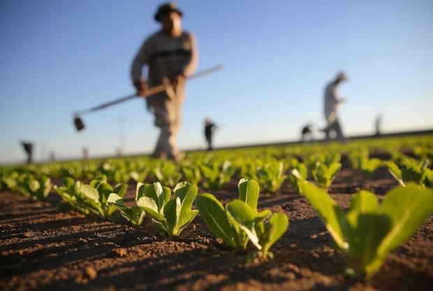Latinoamérica avanza en un plan regional de agricultura ante el cambio climático.