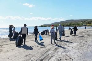 Más de cien colaboradores formaron equipos para limpiar tres playas.