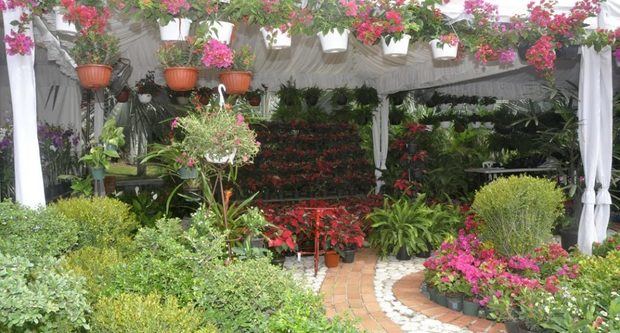 Jardí­n Botánico inaugura su XV Festival Nacional de Plantas y Flores.