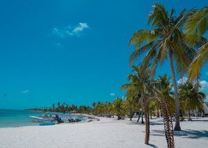 Una pared construida ilegalmente es demolida en la isla Saona