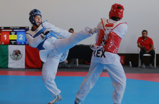 Día Internacional del Taekwondo.