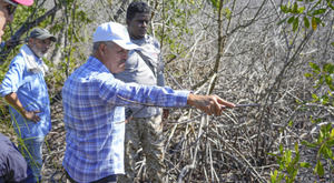 Técnicos ambientalistas en evaluación de manglar afectado en Las Terrenas