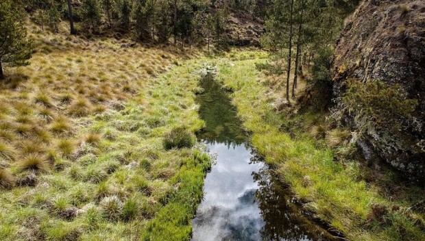 Parque Nacional Valle Nuevo.