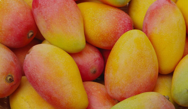 Mangos.