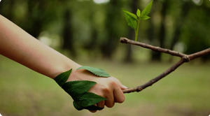 Aseguran que la educación es la forma idónea para que las personas cuiden la naturaleza