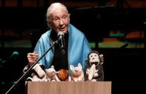 Jane Goodall clama por el planeta: 