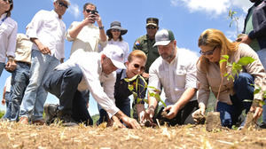 Ministerio de Medio Ambiente lanza campaña de reforestación