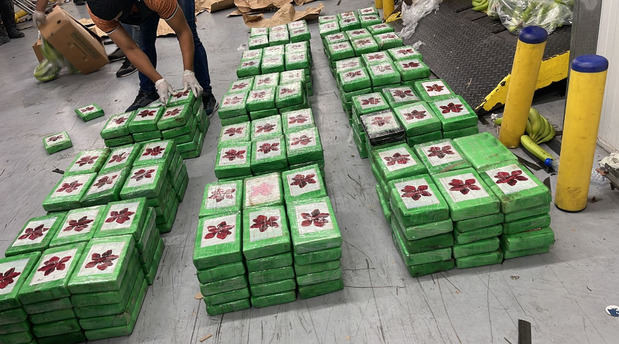 Ocupan 400 paquetes de cocaína camuflados en carga de guineos en Caucedo.