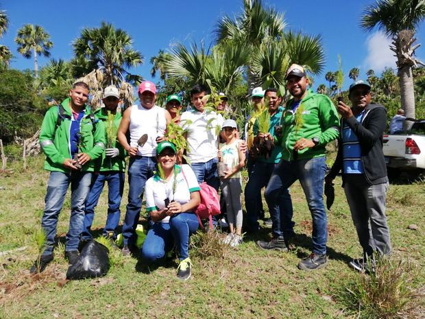 Industrias San Miguel realizó una jornada de reforestación y fueron plantados más de 12,000 árboles en las comunidades de Santiago Rodríguez La Guama, Romerillo y Arroyo Blanco.