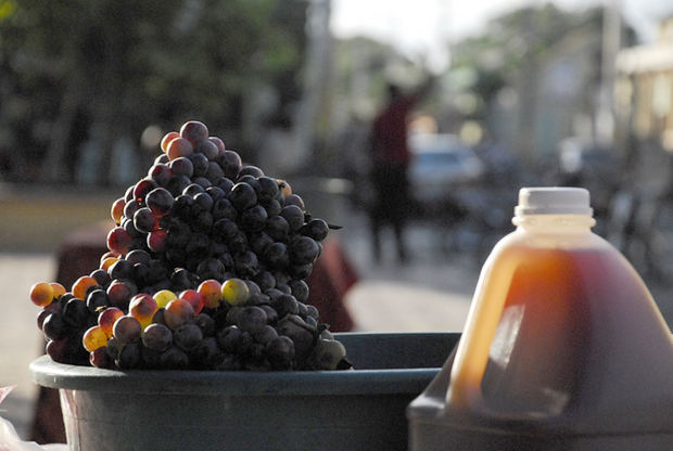 Gobierno apoyará productores de vino Neyba.
