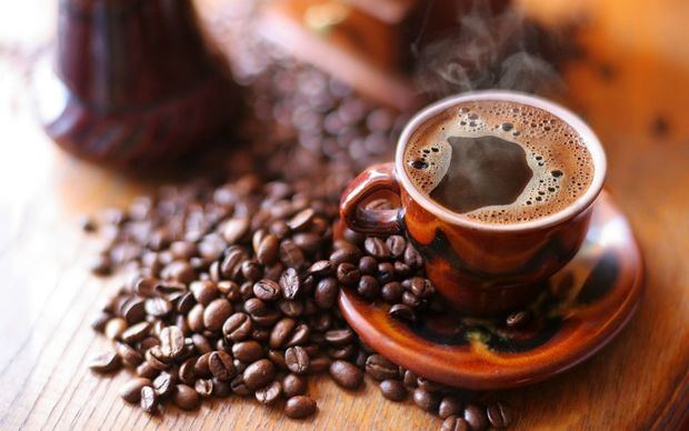 Indocafé realizará Taller sobre el Síndrome del Grano Negro del Café.
