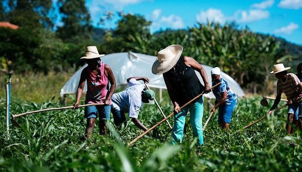 Agricultura familiar.