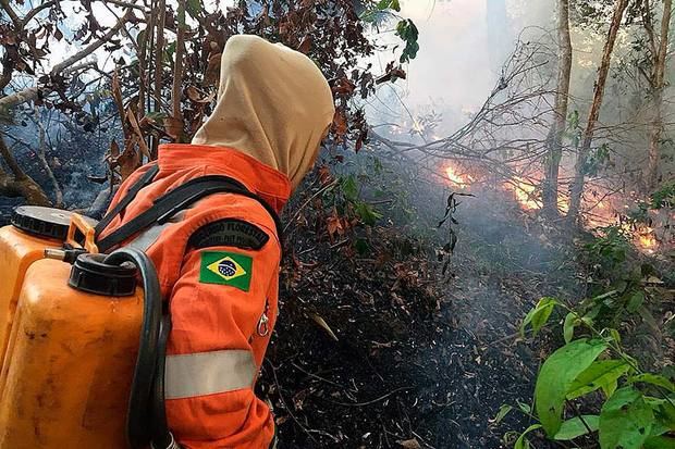 Foto del día 18 a agosto del 2019, esta fotografía fue cedida por el cuerpo de bomberos de la ciudad de Porto Velho, que muestra uno de los escenarios de los grandes incendios que azotan la Amazonía Brasileña.