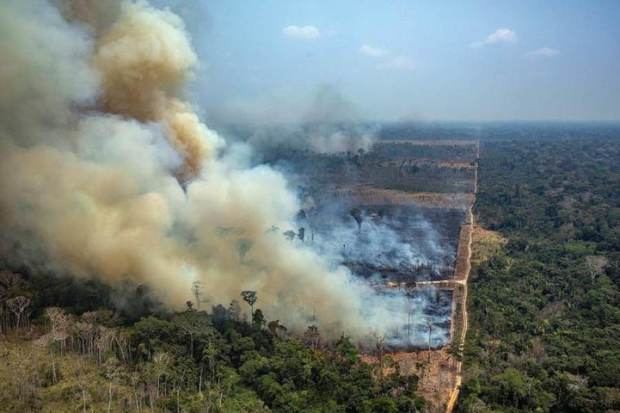 Entre enero y agosto de 2019, el número de incendios forestales en Brasil aumentó casi en 84% con respecto al mismo periodo en 2018, marcando un récord de siniestros en los últimos seis años. 