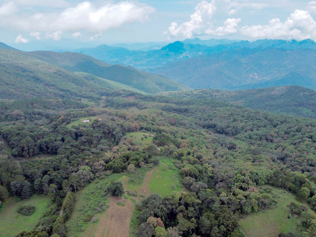 Vista aérea de archivo de una zona boscosa en la localidad de Minatitlán, en el estado de Colima, México.