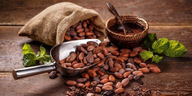 República Dominicana exportó 73,000 toneladas métricas de cacao durante la temporada 2018-2019.