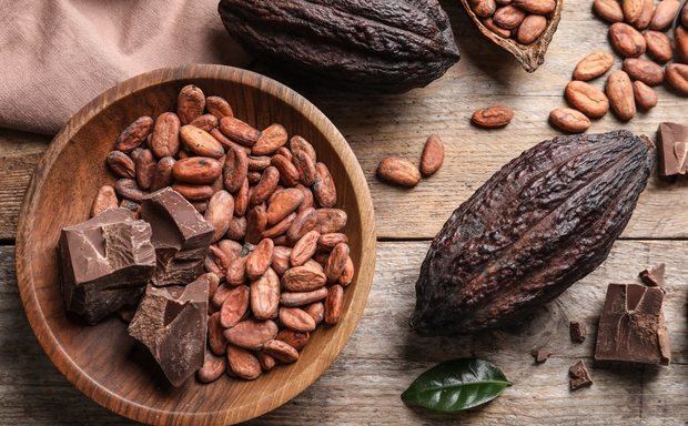 Gobierno se vuelca a recuperar el sector cacao.