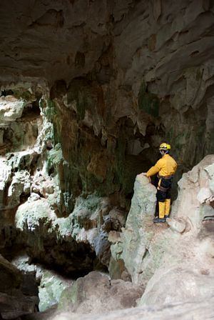 Piden al presidente Luis Abinader visitar las Cuevas del Pomier y detener el crimen ecológico