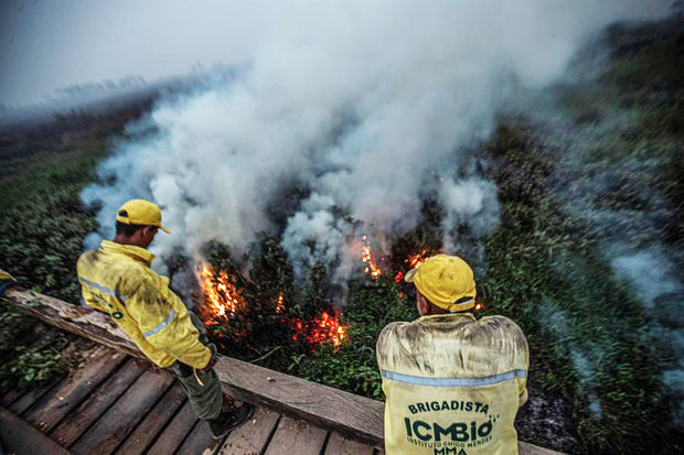 Bomberos observan el fuego en la localidad de Porto Jofre, localizado en el municipio de Poconé, estado de Mato Grosso, Brasil.