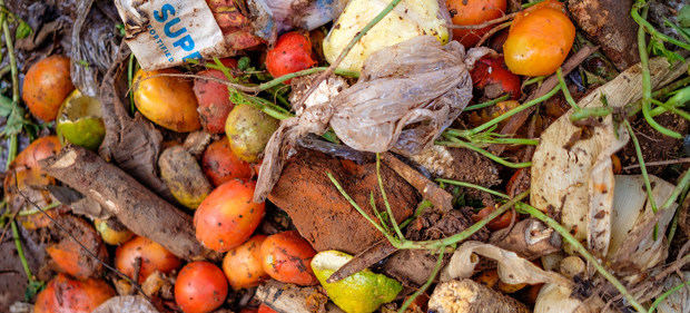 Alimentos desperdiciados en el mercado Lira, en Uganda.© FAO/Sumy Sadurni
Alimentos desperdiciados en el mercado Lira, en Uganda.