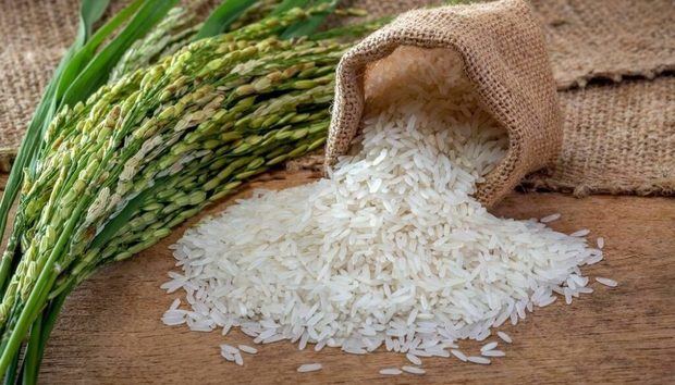 R.Dominicana estudia los pasos a dar ante la apertura del mercado de arroz.
