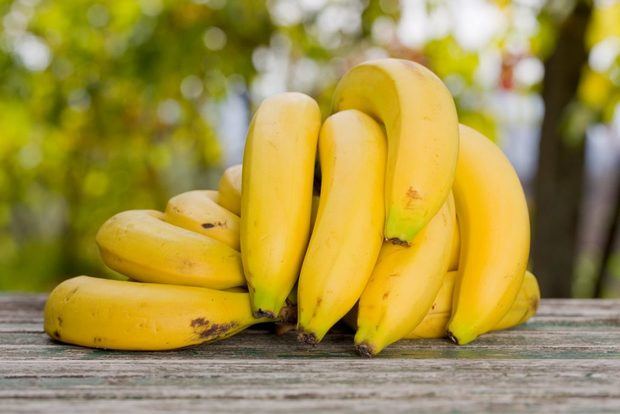 Agricultura refuerza medidas para evitar entrada de hongo afecta al banano.