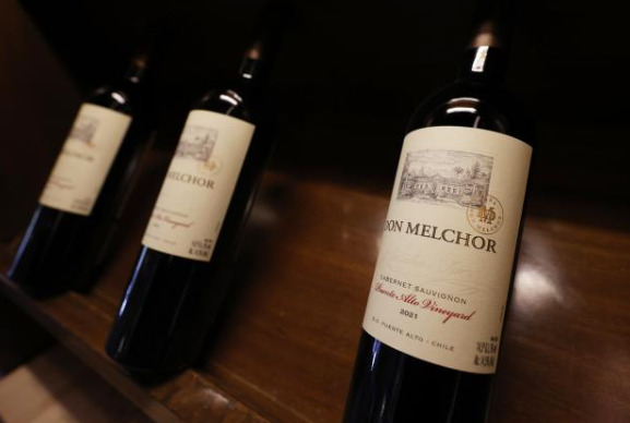 Don Melchor, el vino chileno coronado como el mejor del mundo y 'protegido' por los Andes